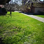 Privat Mini 307 Apartment Besenova
